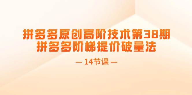 拼多多原创高阶技术第38期，拼多多阶梯提价破量法（14节课）-宝籍资源