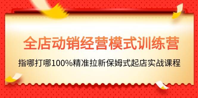 全店动销-经营模式训练营，指哪打哪100%精准拉新保姆式起店实战课程-宝籍资源