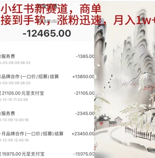 小红书新赛道，商单接到手软，涨粉迅速，一个月1w+-宝籍资源