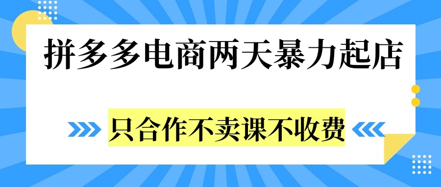 拼多多两天暴力起店，只合作不卖课不收费-宝籍资源