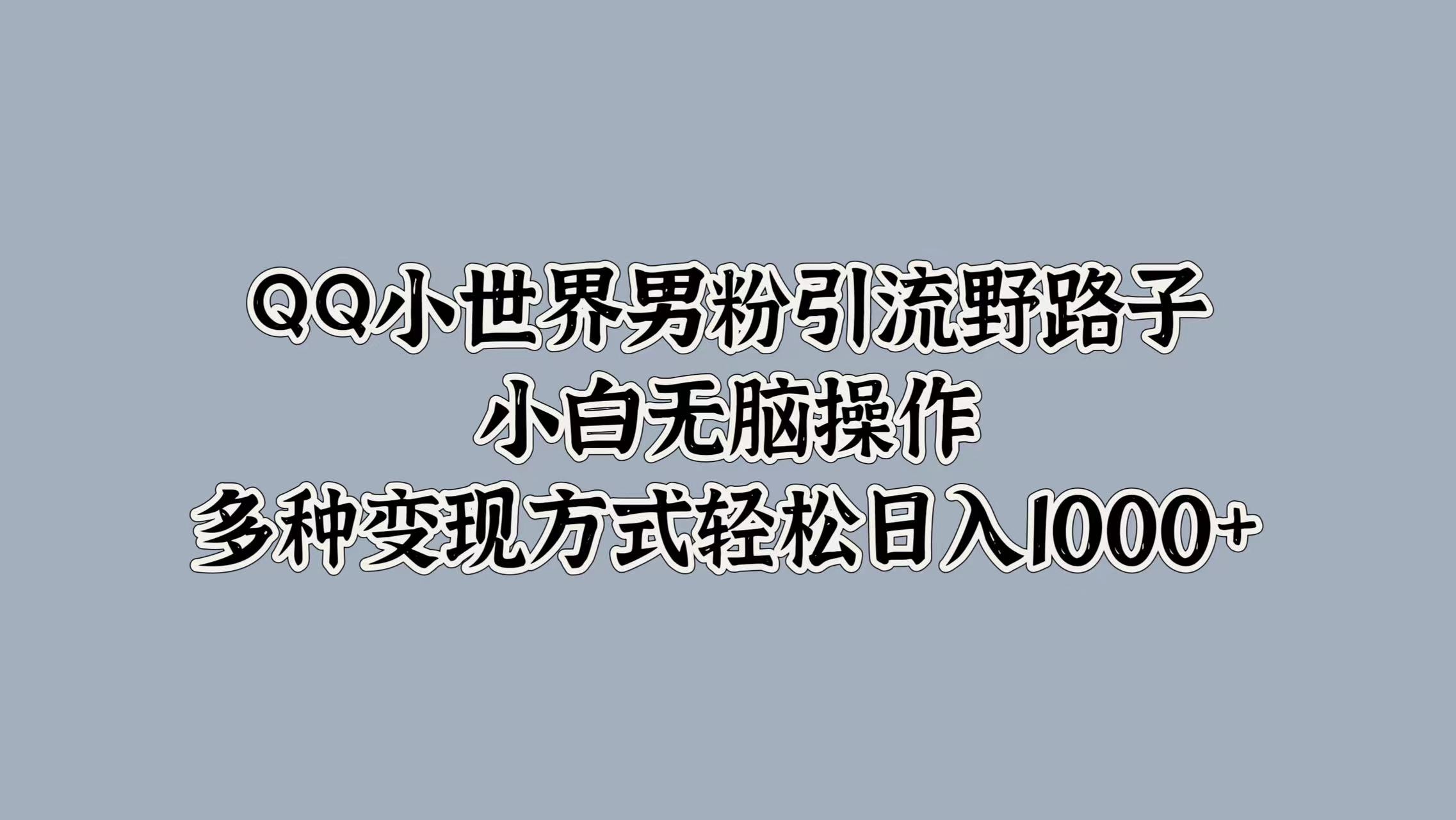 QQ小世界男粉引流野路子，小白无脑操作，多种变现方式轻松日入1000+-宝籍资源