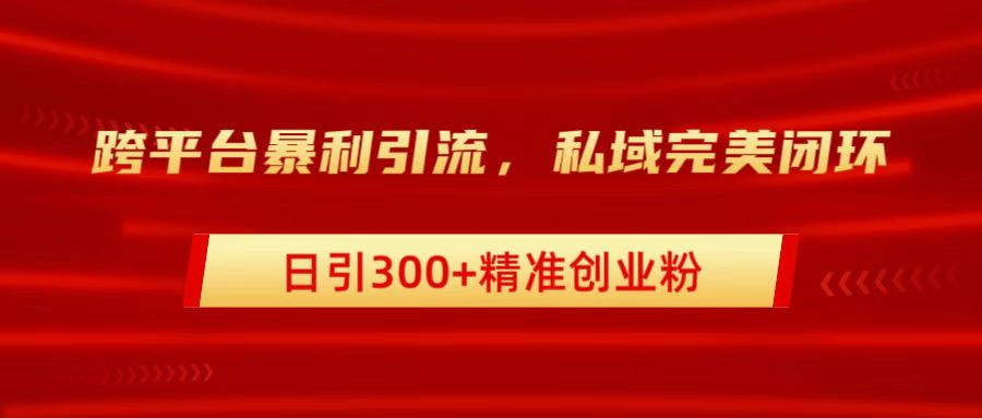 跨平台暴力引流，私域完美闭环，日引300+精准创业粉-宝籍资源