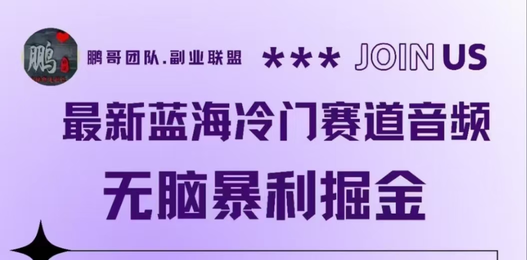 最新蓝海冷门赛道音频，无脑暴利掘金-宝籍资源