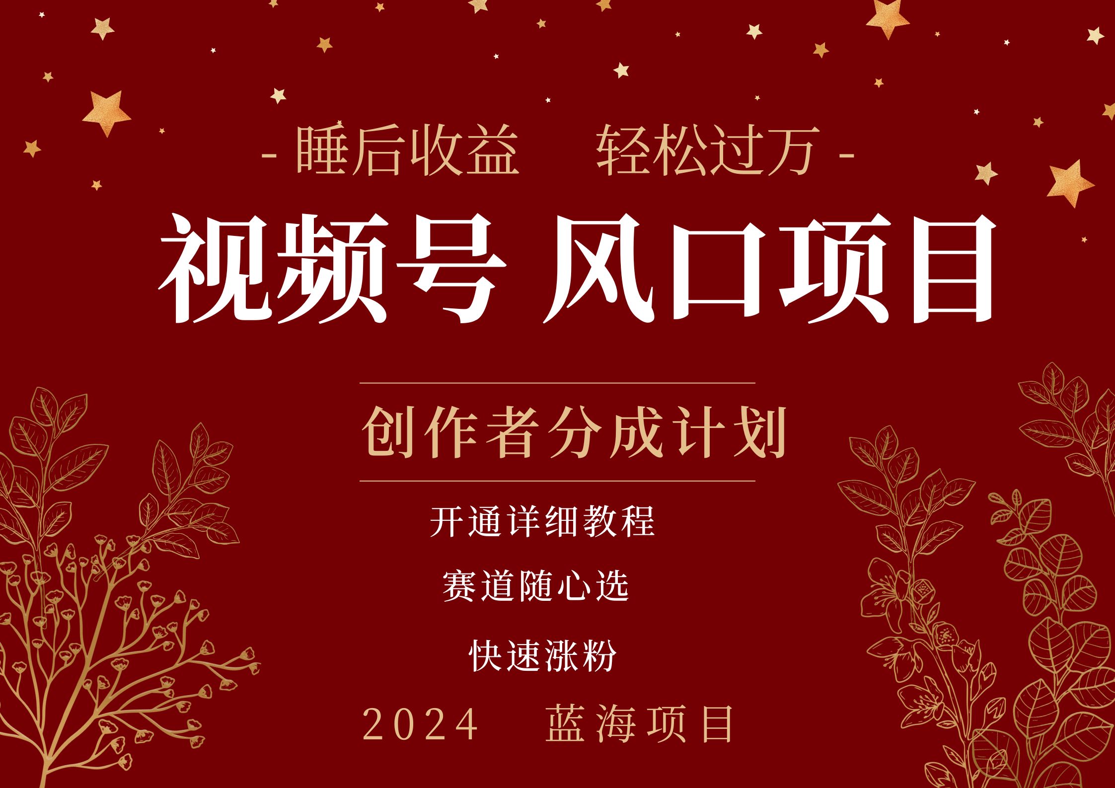 拥有睡眠收益的微信视频号大风口项目，轻松月入过万+，多赛道选择，可矩阵，玩法简单轻松上手-宝籍资源
