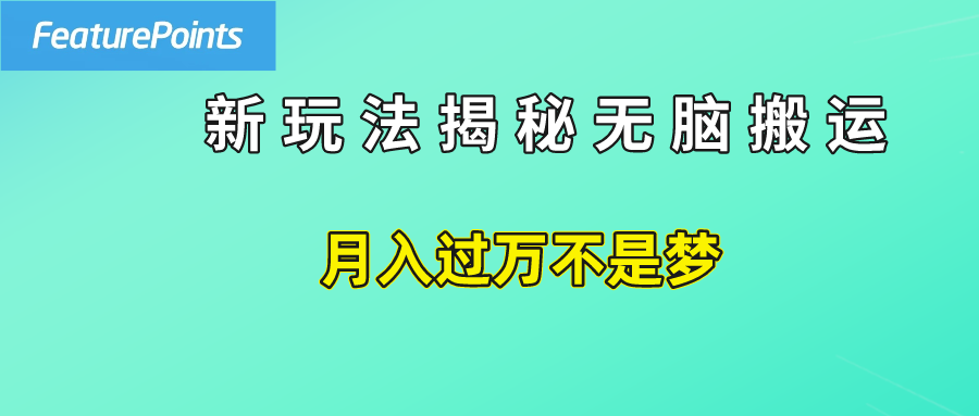 简单操作，每天50美元收入，搬运就是赚钱的秘诀！-宝籍资源