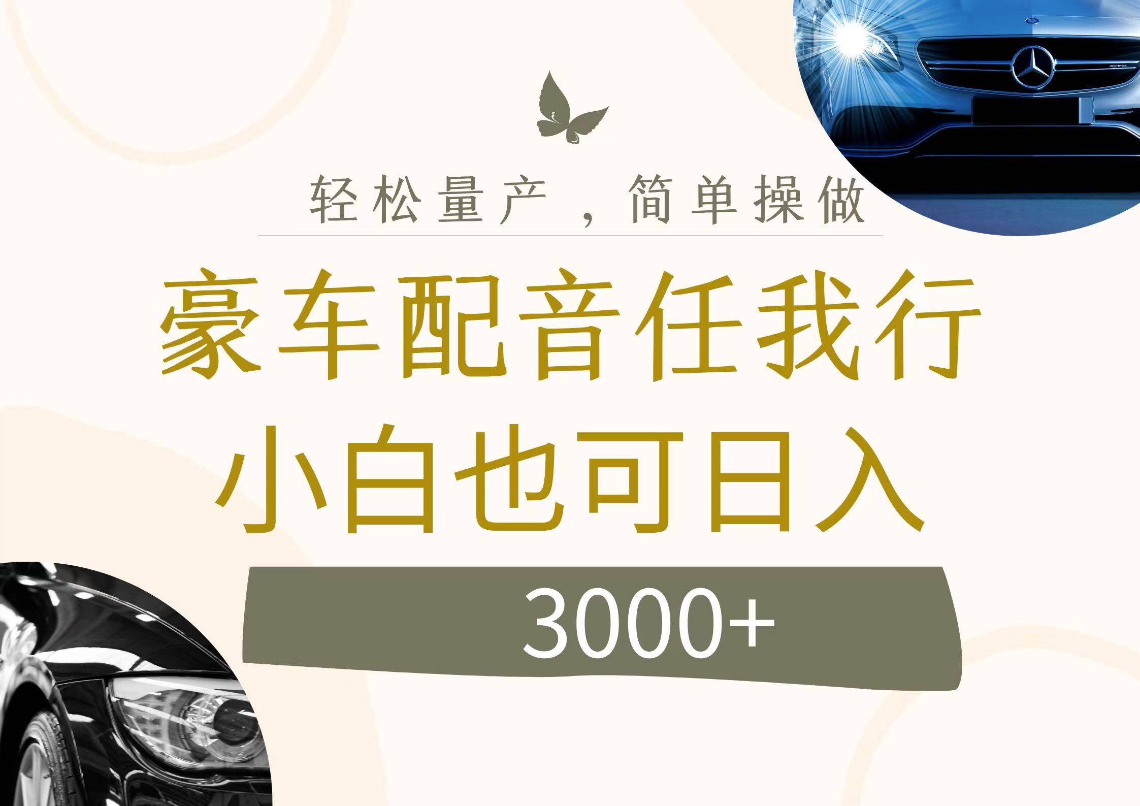 不为人知的暴力小项目，豪车配音，日入3000+-宝籍资源