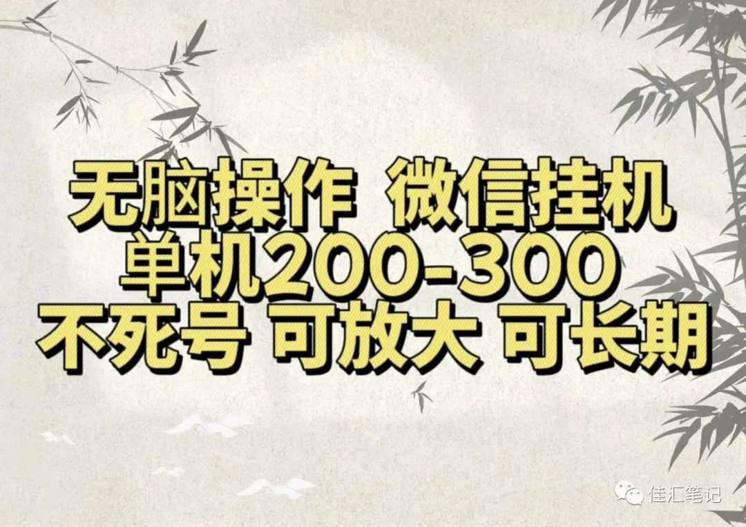 无脑操作微信视频号挂机单机200-300一天，不死号，可放大，工作室实测-宝籍资源