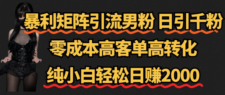 暴利矩阵引流男粉（日引千粉），零成本高客单高转化，纯小白轻松日赚2000+-宝籍资源