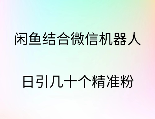 闲鱼结合微信机器人，日引几十个精准粉-宝籍资源