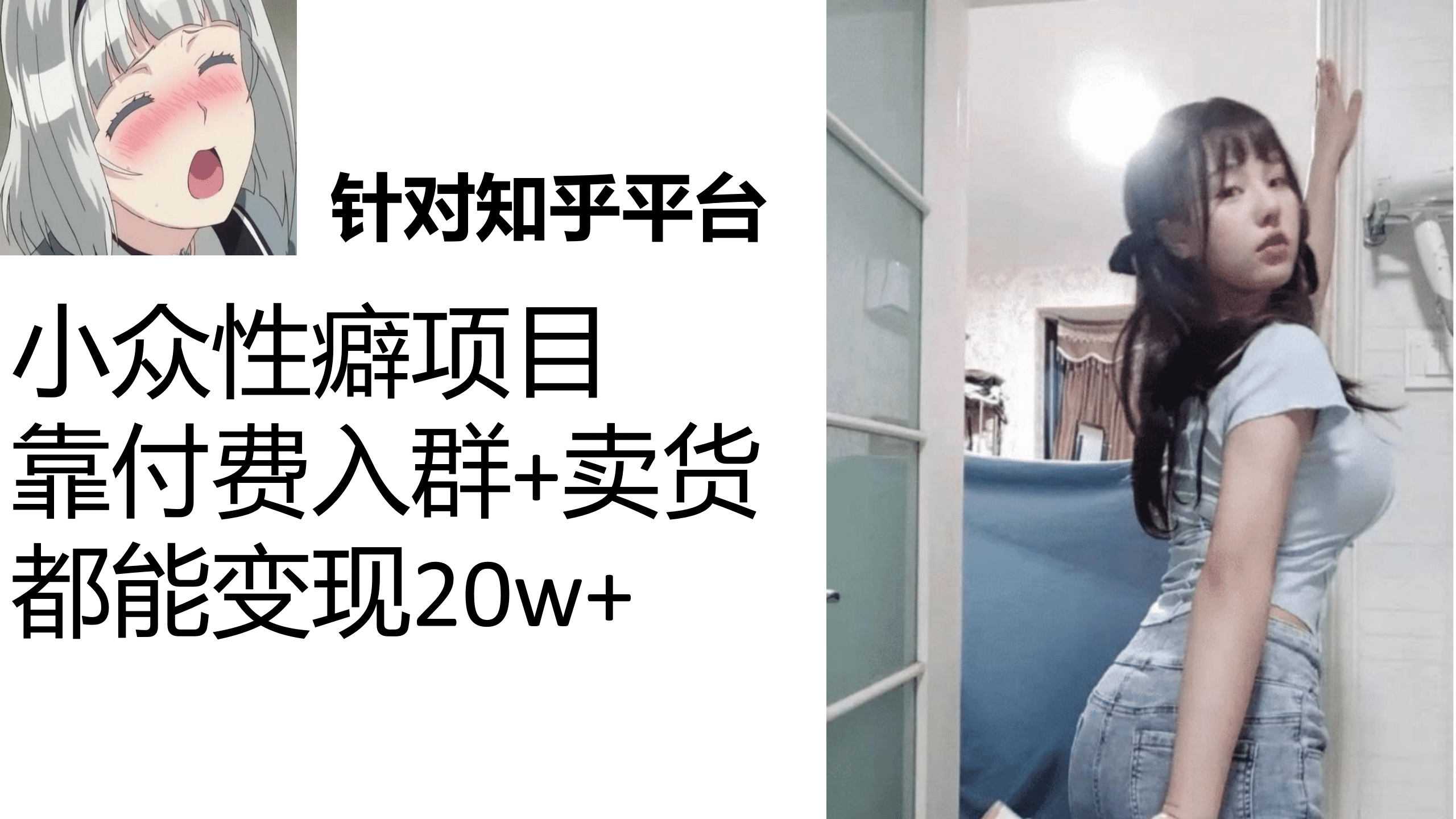 图片[1]-知乎小众性癖项目，Lsp的钱才是最好赚的，付费建群+卖货变现20w-宝籍资源