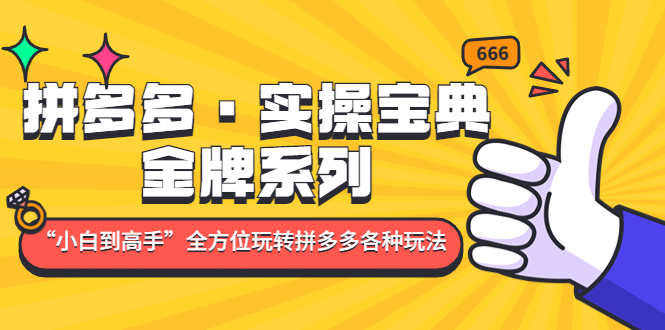 图片[1]-拼多多·实操宝典：金牌系列“小白到高手”带你全方位玩转拼多多各种玩法-宝籍资源