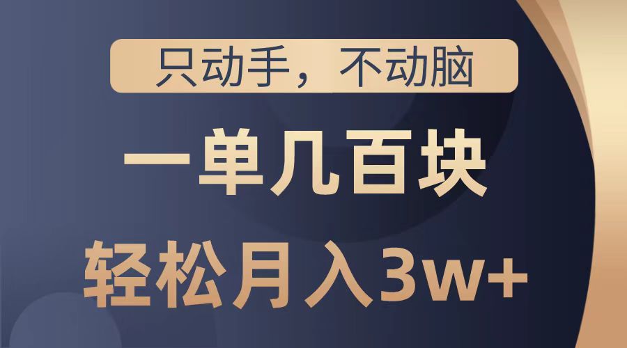 只动手不动脑，一单几百块，轻松月入2w+，看完就能直接操作，详细教程-宝籍资源
