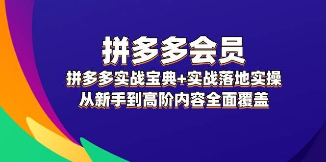 拼多多 会员，拼多多实战宝典+实战落地实操，从新手到高阶内容全面覆盖-宝籍资源